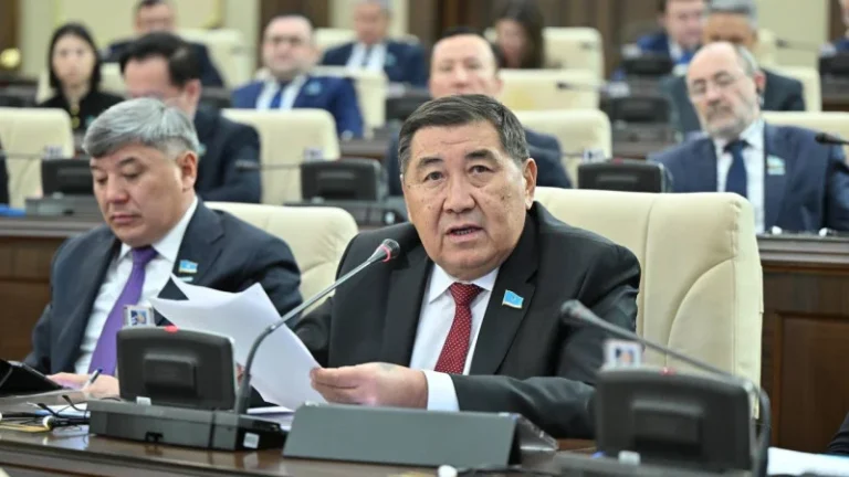 Мәжіліс депутаты Ермұрат Бапи