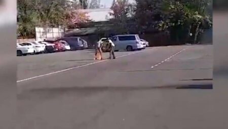 Алматыда ер адам алдымен көлігін, кейін өзін өртеп жіберген