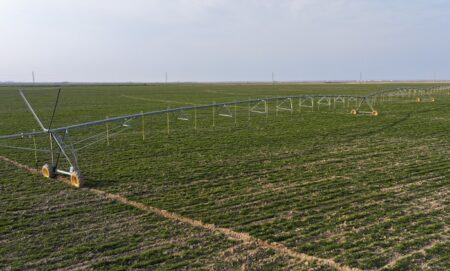 Түркістанның тіршілік формуласы: Сатыбалды су үнемдеудің жолын тапты Түркістан облысында 50 мың гектар жерге