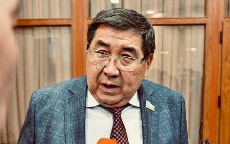 Депутат Бапи: Орыс тілі халықаралық ұйымын құру бәрінен бұрын саясат үшін маңызды