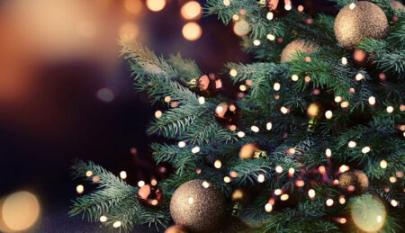 Семейде шырша безендірмек болған мұғалім ауруханадан бір шыққан: қызметтік тексеріс басталды