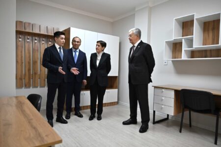 Тоқаев жұртты алаңдатқан метапневмовирус туралы айтты