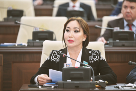 Депутат сотталған әйелдерге рақымшылық жасауды ұсынды