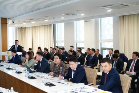 Мәдениет және спорт саласындағы талқыланған өзекті мәселелер