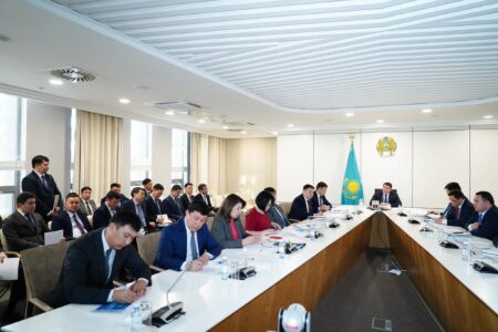 Түркістан облысын көгалдандыру мақсатында 1 ,3 миллион ағаш отырғызу жоспарланып отыр