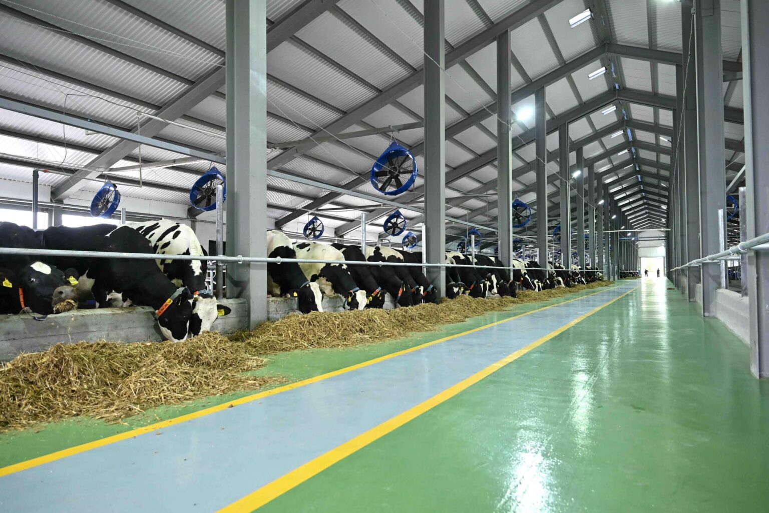 Түркістанда ауылдарды дамыту қалай жүзеге асады?