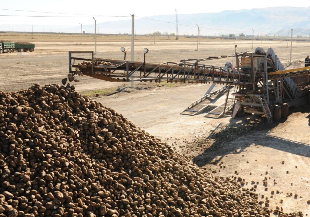 Жетісуда зауыттарға өткізілген қант қызылшасына берілетін 14 млрд. теңге субсидия толық төленді