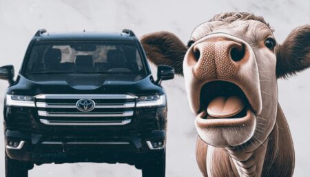 Қызылжарлық фермер сүтке бөлінген субсидияға Land Cruiser сатып алған