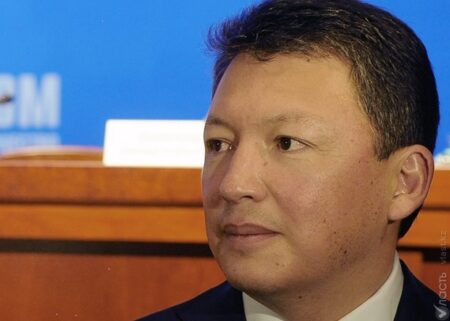 Тимур Құлыбаевқа тиесілі болған учаскенің ендігі тағдыры не болмақ?