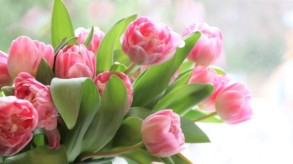 Халықаралық әйелдер күні: Астанада 36 мыңға жуық әйел біржолғы әлеуметтік төлем алады