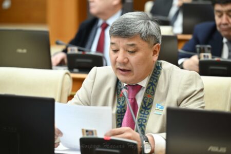 «Әсері атом бомбасынан кем емес». Депутат Жанарбек Әшімжан TikToк-ты шектеуді ұсынды