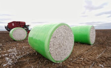 Түркістан облысында құны 200 млрд теңгеден асатын мақта-тоқыма кластері құрылуы мүмкін