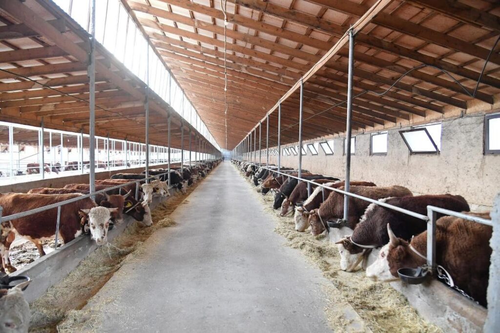 Қазақстанда ұлттық ауыл шаруашылығы санағы өтеді