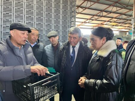 Алматы облысында алғаш рет пластик жәшік өндіретін цех іске қосылды