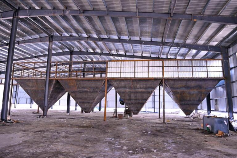 Үржар ауданында майлы дақылдарды өңдейтін зауыт салынады