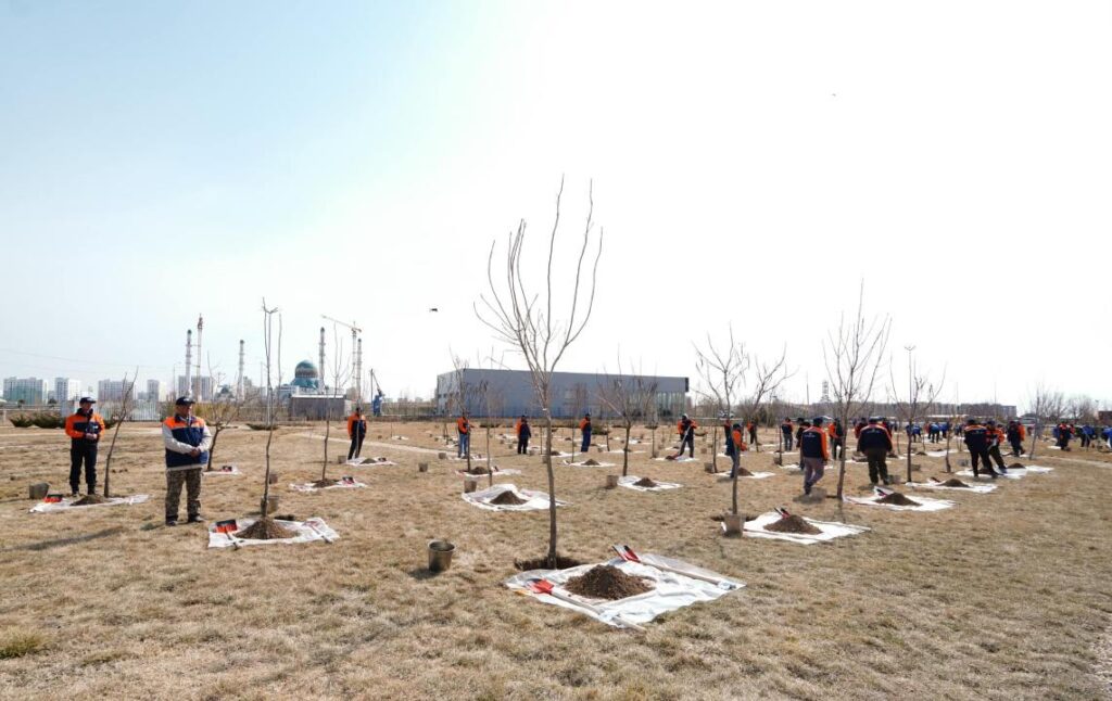 Түркістан қаласының бірнеше аумағында 5000-нан аса көшет отырғызылды