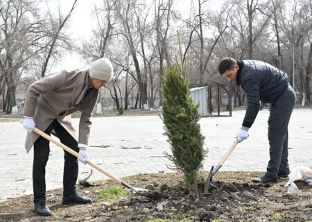 Жетісу облысында бір күнде 200 ағаш отырғызылды