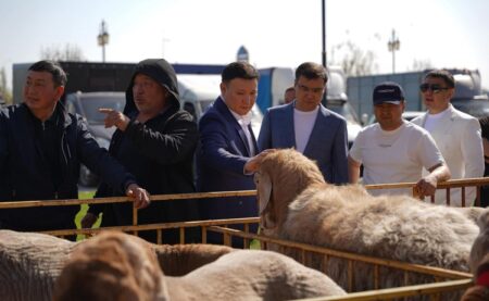 Түркістан облысында мал шаруашылығының халықаралық көрмесі өтті