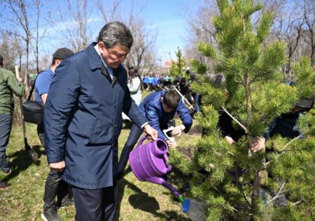 СҚО-да «Таза Қазақстан» экологиялық акциясы аясында 118 мың ағаш отырғызылады