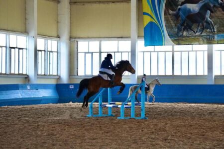 ШҚО-да ерекше балаларды жылқымен сауықтыру әдісі таралуда