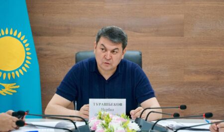 Түркістанда марокко шегірткесіне қарсы 40 мың га жер қосымша өңделмек