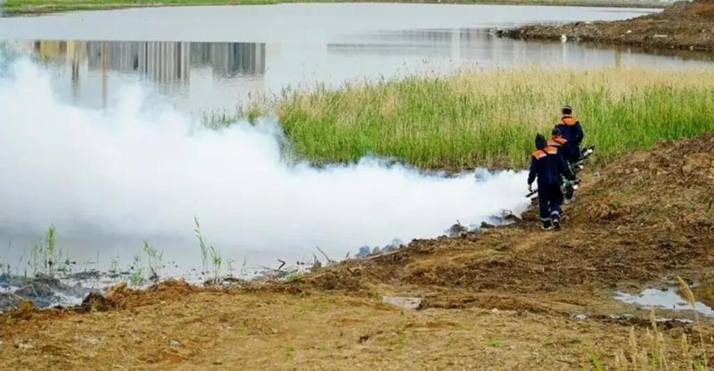 Астанада маса мен шіркейге қарсы жаппай дезинсекция басталды