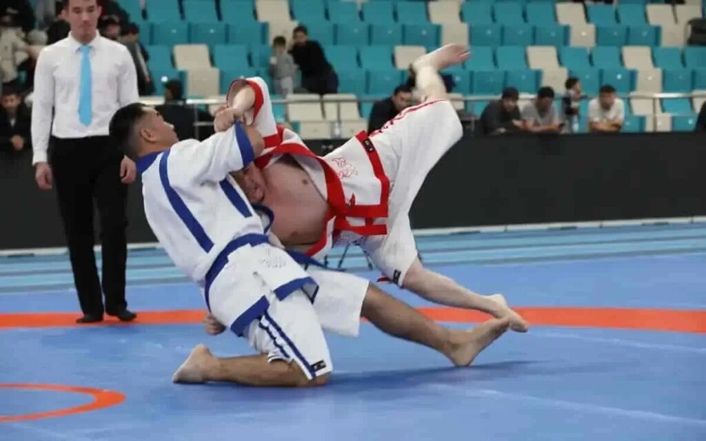 Еліміздің батыс өңірі ұлттық спортты дамытқысы келеді