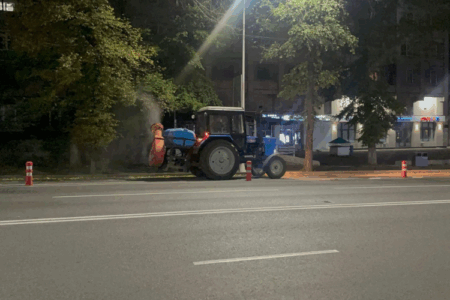 Алматыда 20 сәуірден бастап жасыл желектерге биологиялық өңдеу басталады