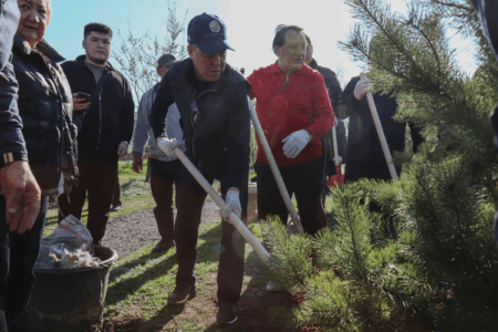 Биыл Батыс Қазақстан облысында 228 мың көшет отырғызылады