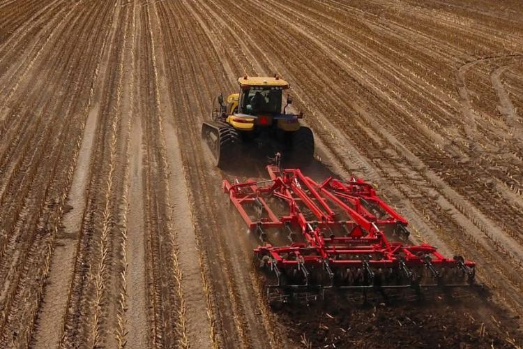 Сауран ауданында 5 мың гектардан астам жерге ауыл шаруашылығы дақылдары егілді