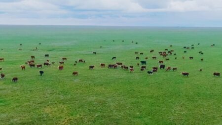 «Жер аманаты»: Шаруа ата кәсіптің аясын кеңейтуде