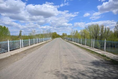 Берік Уәли Көкпекті ауданындағы апатты көпірдің жай-күйімен танысты