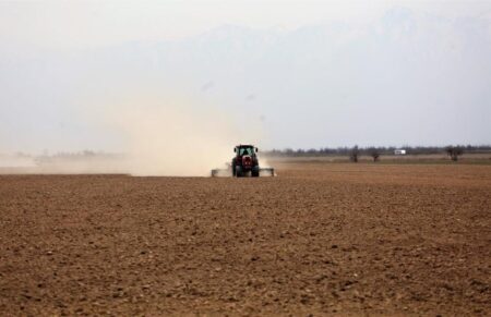 Қазақстанның оңтүстік өңірлерінде көктемгі егіс науқаны аяқталуға жақын