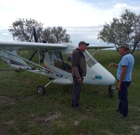 Жетісуда шегірткеге қарсы химиялық өңдеудің 80%-дан астамы аяқталды