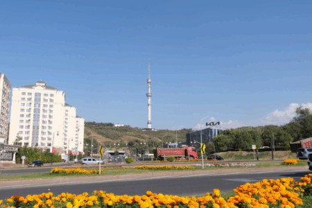 Алматыда туристерге арналған гастрономиялық бағыт әзірленді