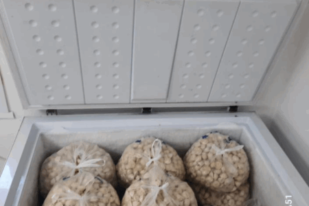 Ұлан ауданында ауыл кәсіпкерлігі мемлекеттік қолдаумен дамып келеді