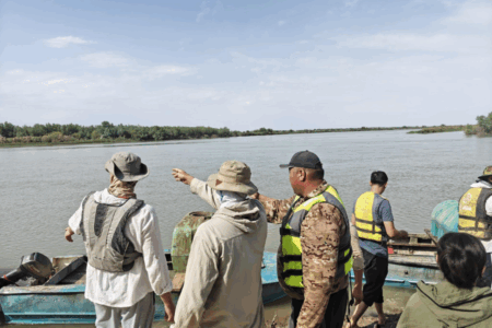 Түркістан: Сырдария бойында шіркейге қарсы 19 тоннадан аса дәрі қолданылды