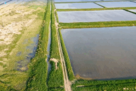 Қызылорда облысында диқандарға арналған су жүйесі 40%-ға жақсарды