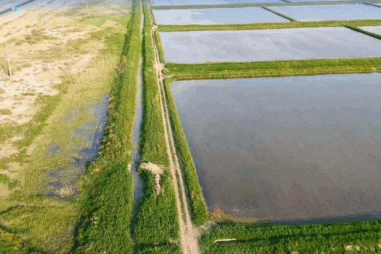 Қызылорда облысында диқандарға арналған су жүйесі 40%-ға жақсарды