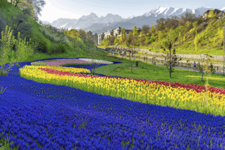 Алматыда көпжылдық өсімдіктерге басымдық берілмек: көгалдандыру көлемі 1,5 есе өседі