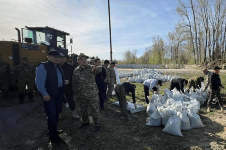 ШҚО: Бұқтырма мен Поганка өзендерінде су көтеріліп, үйлердің ауласын су басты