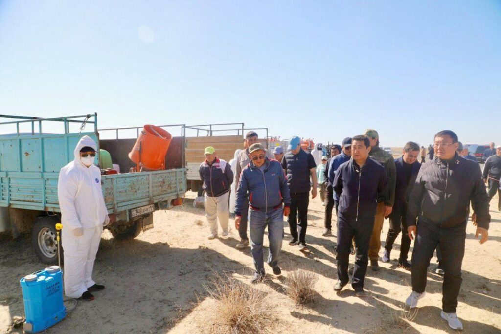 Шегірткелер шеруі: Ауыл шаруашылығы министрі Аралдағы жағдаймен танысты