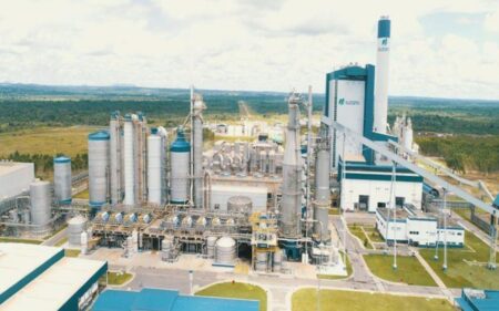 Алматы облысында жылына 200 мың тонна қамыс өңдейтін кешені салынады