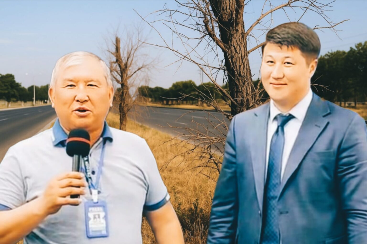 Шымкентте миллиондар бөлінген 8 мың түп көшет түгелдей қурап қалған