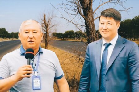 Шымкентте миллиондар бөлінген 8 мың түп көшет түгелдей қурап қалған