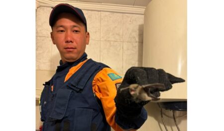 Қонаев қаласының жедел-құтқару жасағы тұрғын үйдегі ықтимал қауіптің алдын алды