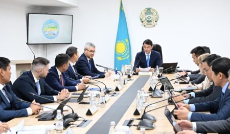 «Автоматты суару жүйесі көгалды емес, жолды суарып тұр»: Алматы әкімі көгалдандыру жұмыстарын бақылауды күшейтті