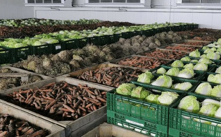 Агроөнеркәсіптік кешені Қазақстан экономикасының тірек саласы