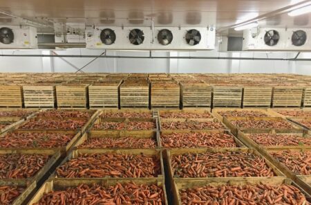 Ауыл шаруашылығы өнімдерін сақтаудың инфрақұрылымын дамыту керек!