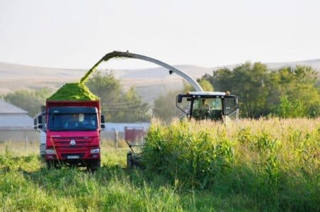 Түркістан агросекторына 121 млрд теңге инвестиция тартылды